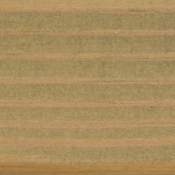 Папоротник