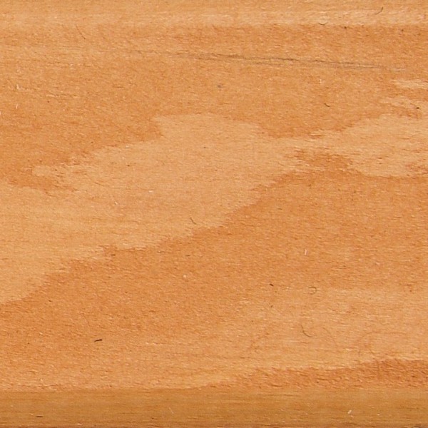 Золотой дуб