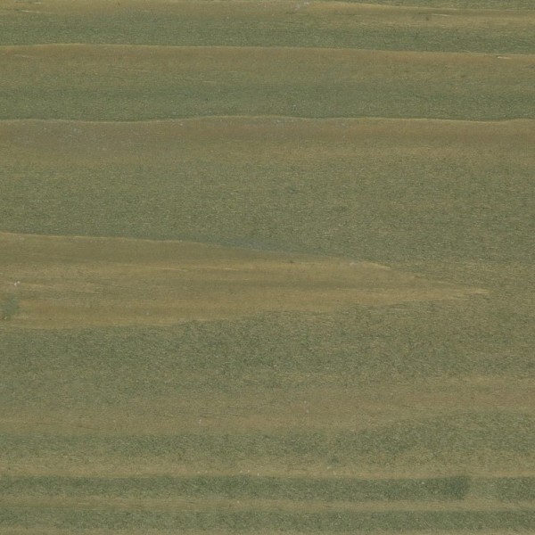 Папоротник