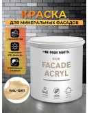 Краска фасадная износостойкая для наружных и внутренних работ PROFIPAINTS ECO FACADE ACRYL 9л, RAL-1001