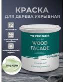 Краска по дереву акриловая для фасадов и внутренних работ PROFIPAINTS SILVER WOOD FACADE 0.9л, RAL-6019