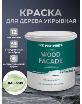 Краска по дереву акриловая для фасадов и внутренних работ PROFIPAINTS SILVER WOOD FACADE 9л , RAL-6019