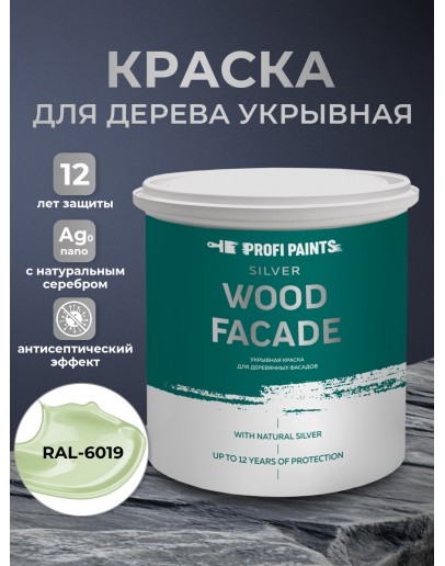 Краска по дереву акриловая для фасадов и внутренних работ PROFIPAINTS SILVER WOOD FACADE 0.9л, RAL-6019
