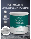 Краска по дереву акриловая для фасадов и внутренних работ PROFIPAINTS SILVER WOOD FACADE 0.9л, RAL-7036